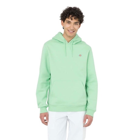 Dickies Oakport Erkek Hoodie Apple Mint