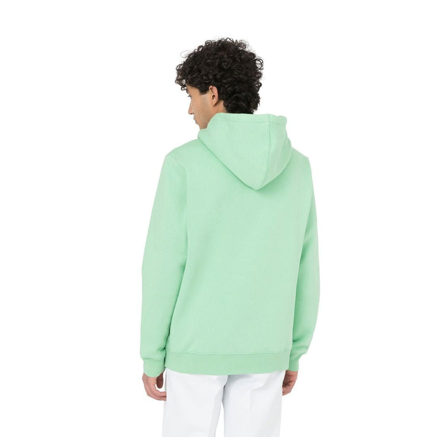 Dickies Oakport Erkek Hoodie 