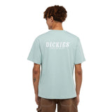 Dickies Script Erkek Kısa Kollu T-Shirt 