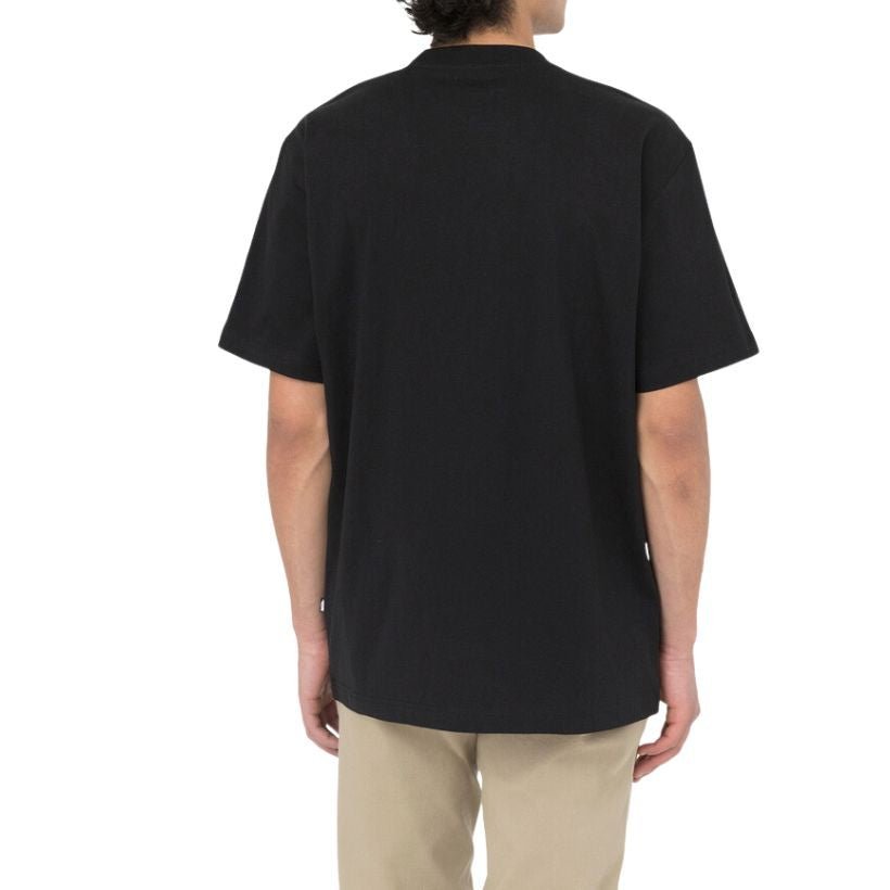 Dickies Summerdale Erkek T-Shirt 