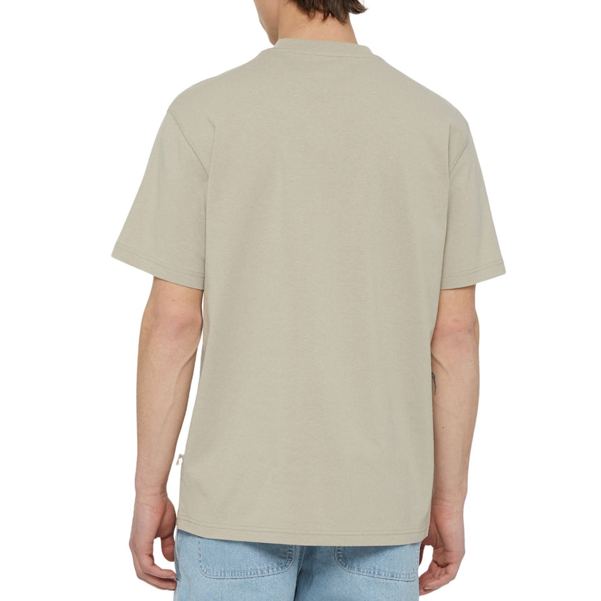 Dickies Summerdale Erkek T-Shirt 