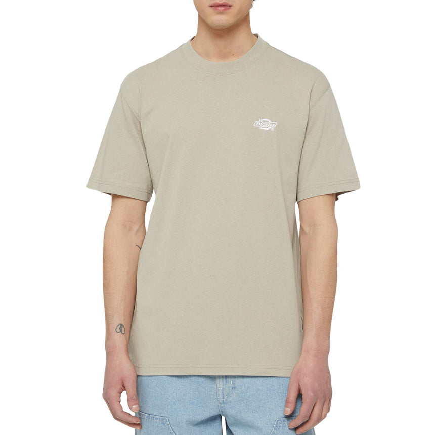 Dickies Summerdale Erkek T-Shirt Sandstone