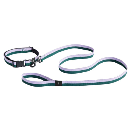 HAY Design Dogs Leash Flat M/L Lavender/Green