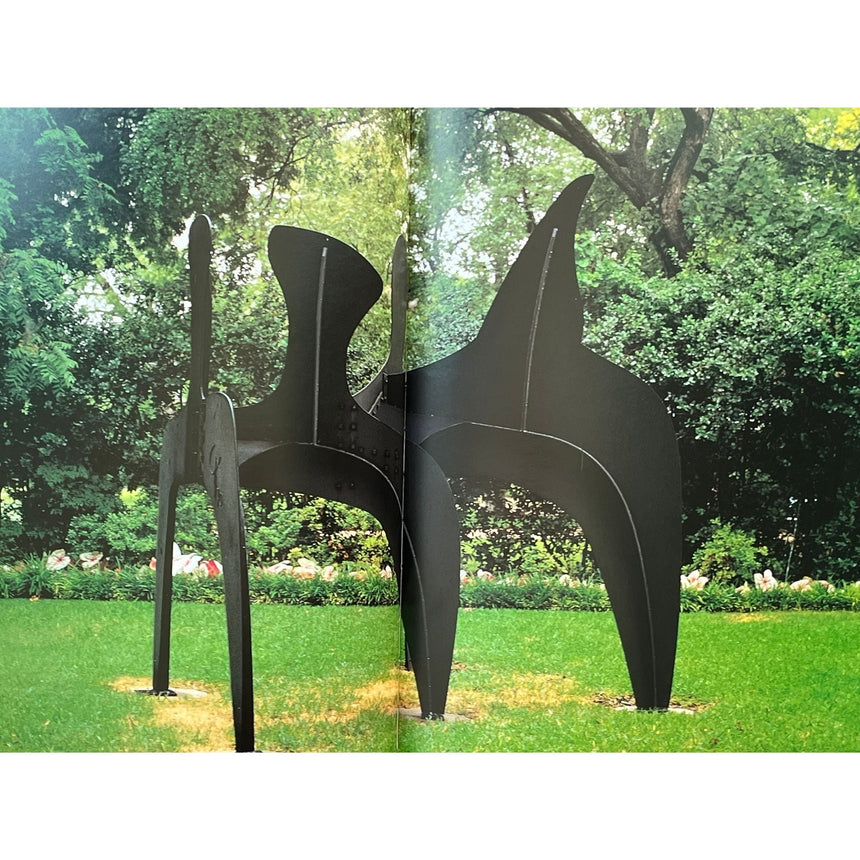 Pestil Books for vitruta A Century of Sculpture: The Nasher Collection 