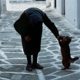 Cats of the Greek Islands