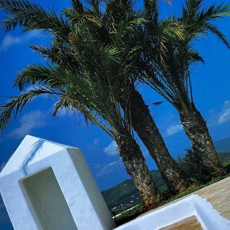 Ibiza: A Mediterranean Lifestyle