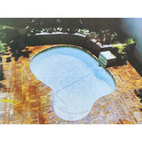 Pestil Books for vitruta Idea Building: Swimming Pools 