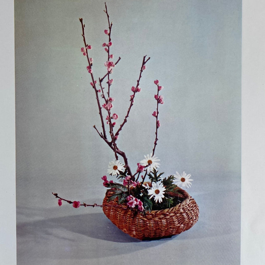 Pestil Books for vitruta Ikebana: L'ecole du bouqet au Japan 