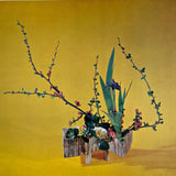 Pestil Books for vitruta Ikebana: L'ecole du bouqet au Japan 