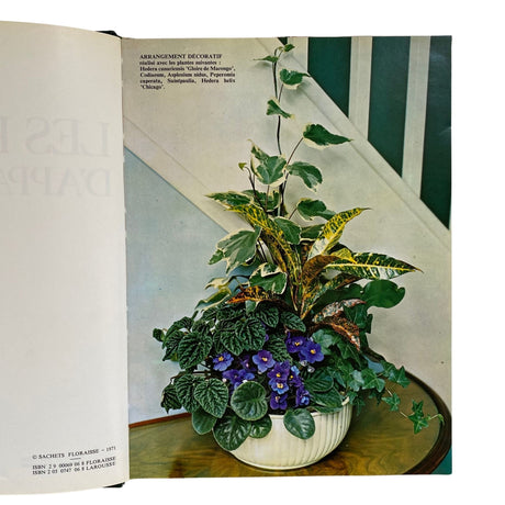 Pestil Books for vitruta Les Plantes D'Appartement 