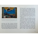 Pestil Books for vitruta Modern Primitives: Masters of Naive Painting 