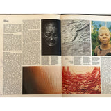 Pestil Books for vitruta The Illustrated Encyclopedia of the Human Body 