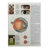 Pestil Books for vitruta The Illustrated Encyclopedia of the Human Body 