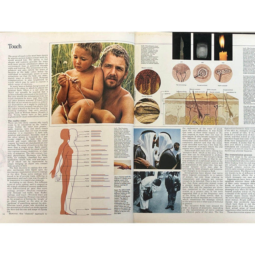 Pestil Books for vitruta The Illustrated Encyclopedia of the Human Body 