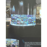 Pestil Books for vitruta The Most Beautiful Aquariums of the World 